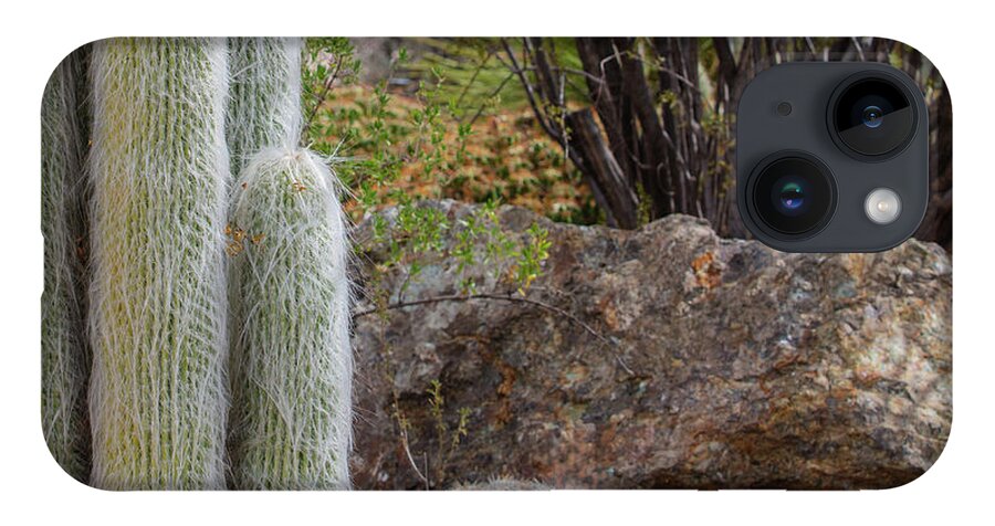 Cacti III Closeup - Phone Case