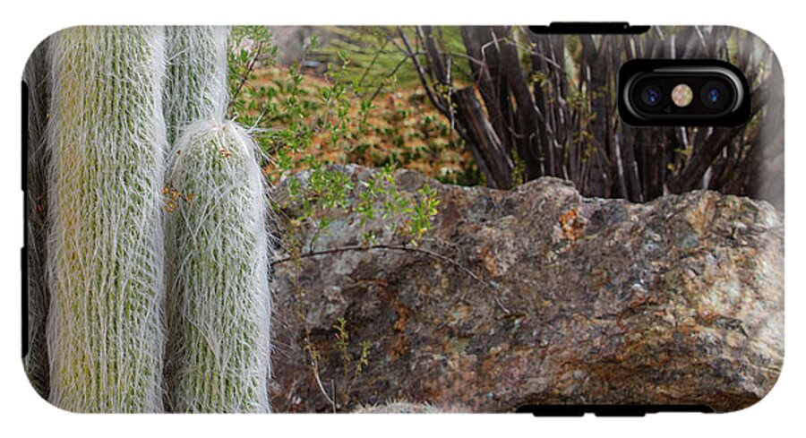 Cacti III Closeup - Phone Case