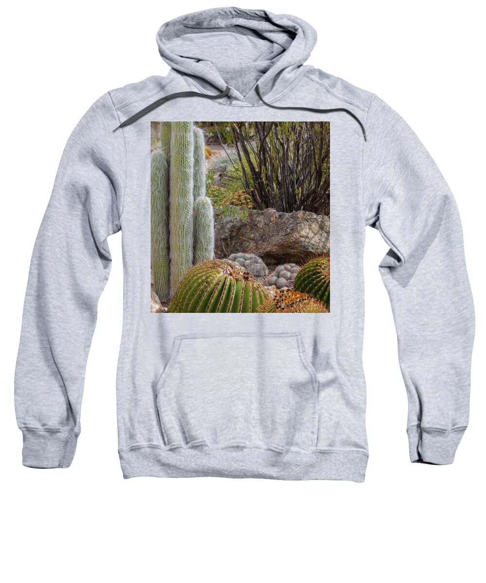 Cacti III Closeup - Sweatshirt
