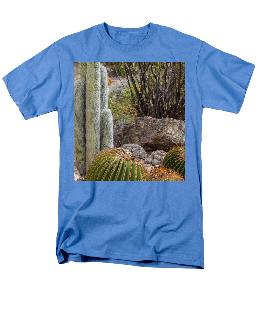 Cacti III Closeup - Men's T-Shirt  (Regular Fit)