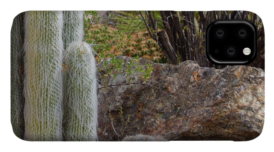 Cacti III Closeup - Phone Case