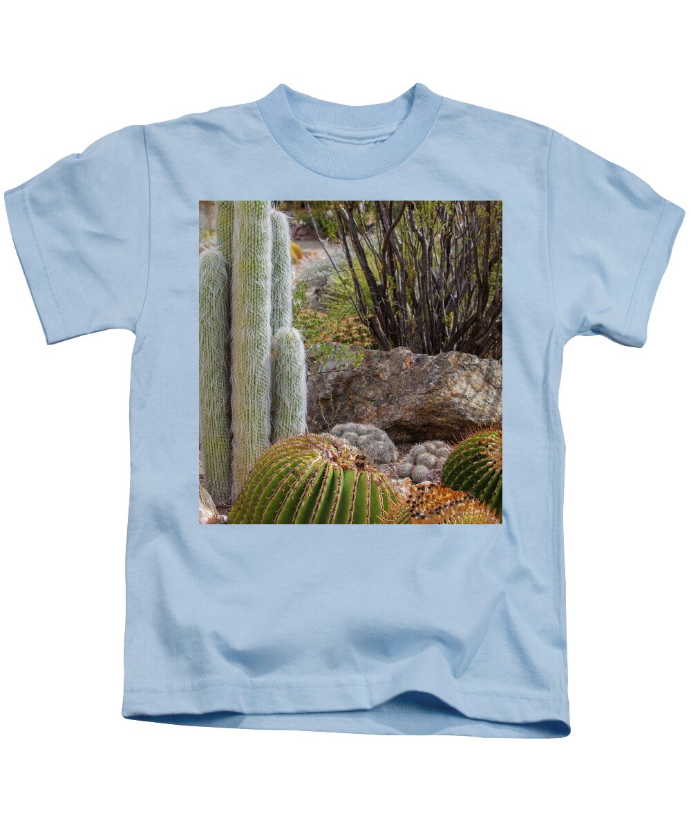 Cacti III Closeup - Kids T-Shirt