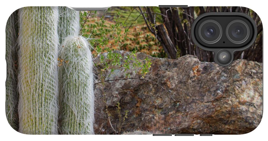 Cacti III Closeup - Phone Case