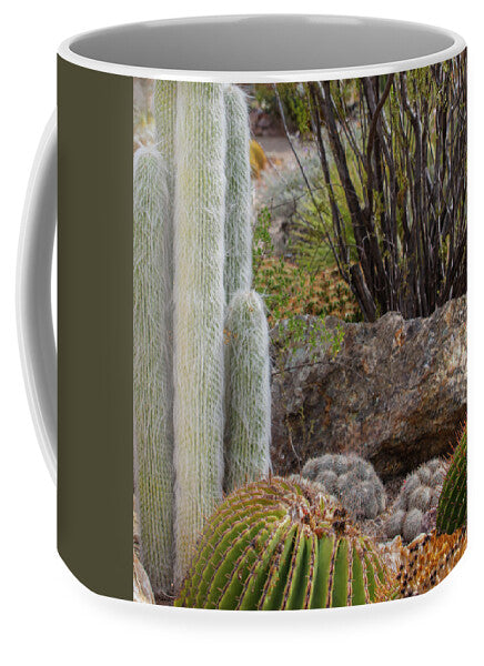 Cacti III Closeup - Mug