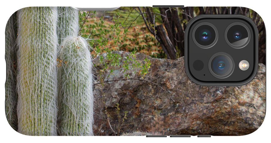 Cacti III Closeup - Phone Case