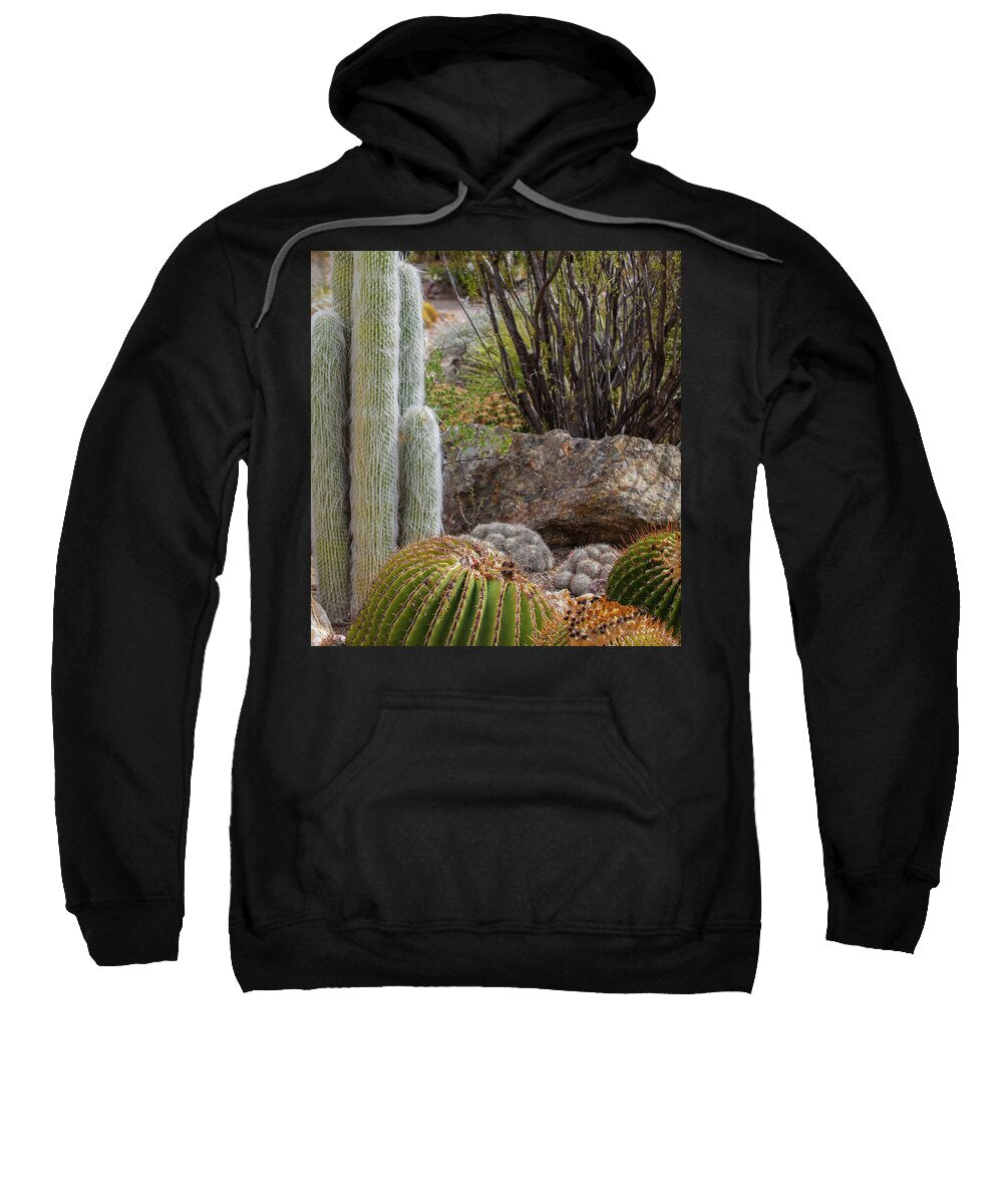 Cacti III Closeup - Sweatshirt