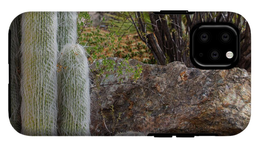 Cacti III Closeup - Phone Case