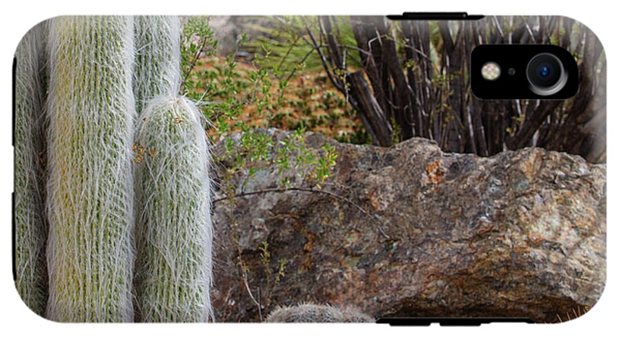 Cacti III Closeup - Phone Case