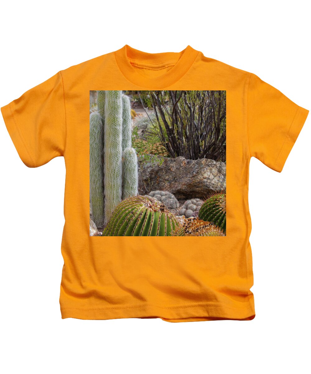 Cacti III Closeup - Kids T-Shirt