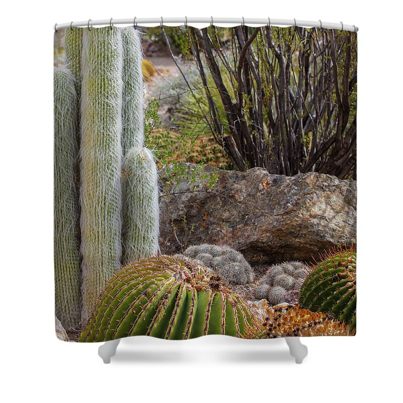 Cacti III Closeup - Shower Curtain