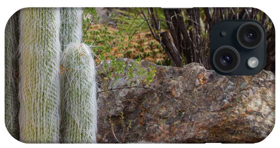 Cacti III Closeup - Phone Case