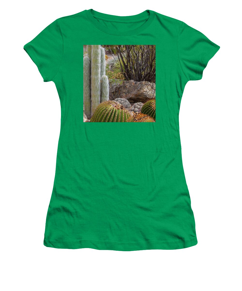 Cacti III Closeup - Women's T-Shirt