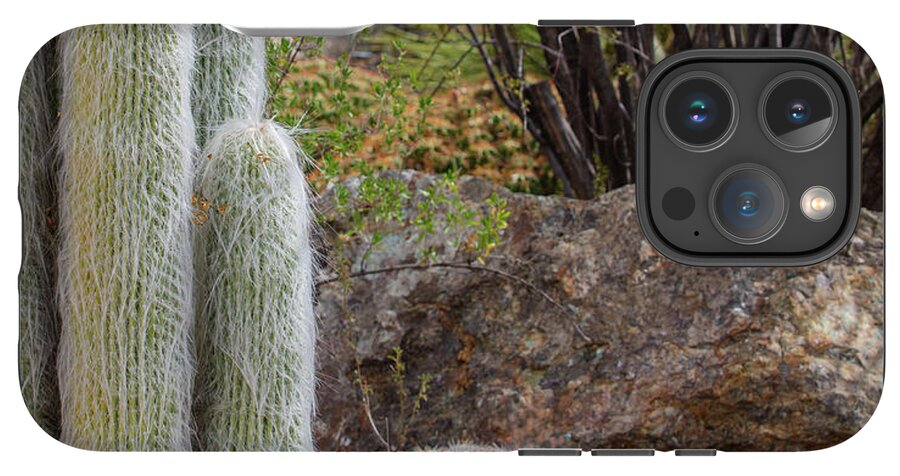 Cacti III Closeup - Phone Case