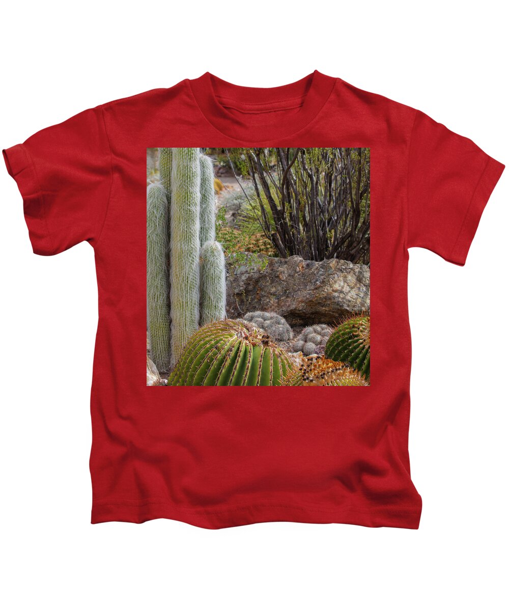 Cacti III Closeup - Kids T-Shirt
