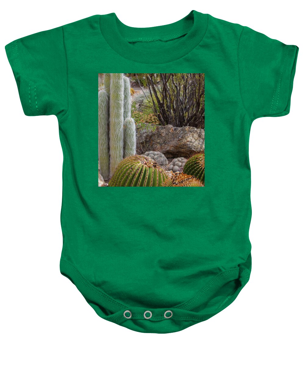 Cacti III Closeup - Baby Onesie
