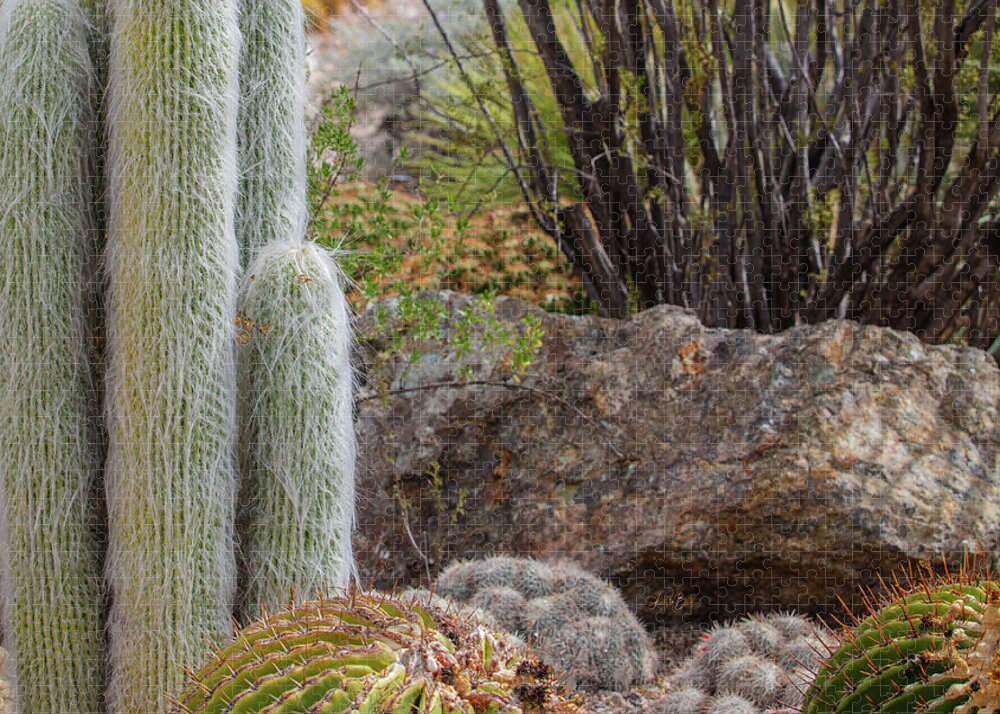 Cacti III Closeup - Puzzle