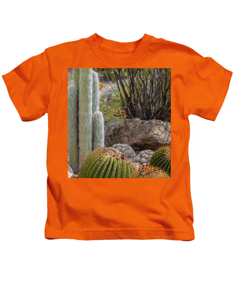Cacti III Closeup - Kids T-Shirt