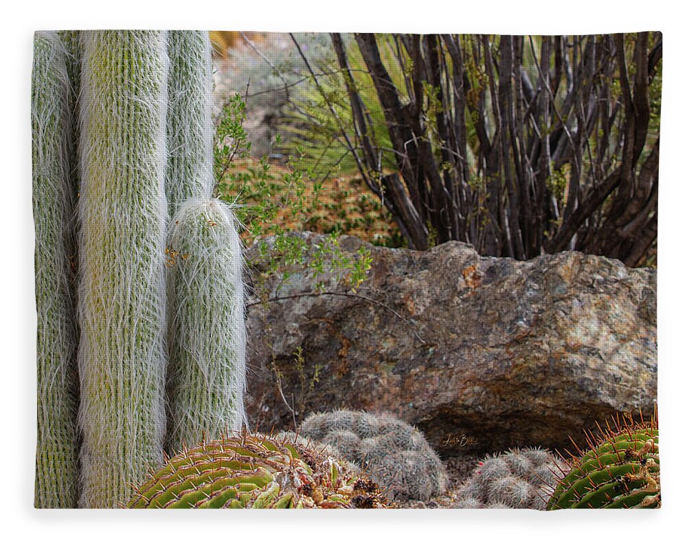 Cacti III Closeup - Blanket