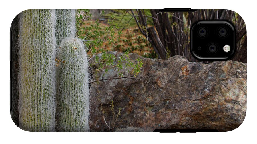 Cacti III Closeup - Phone Case