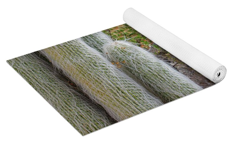 Cacti III Closeup - Yoga Mat