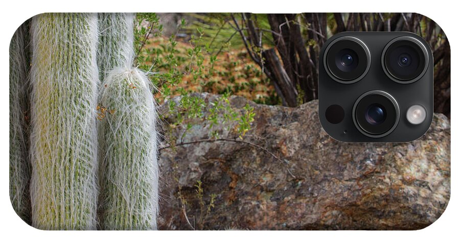 Cacti III Closeup - Phone Case