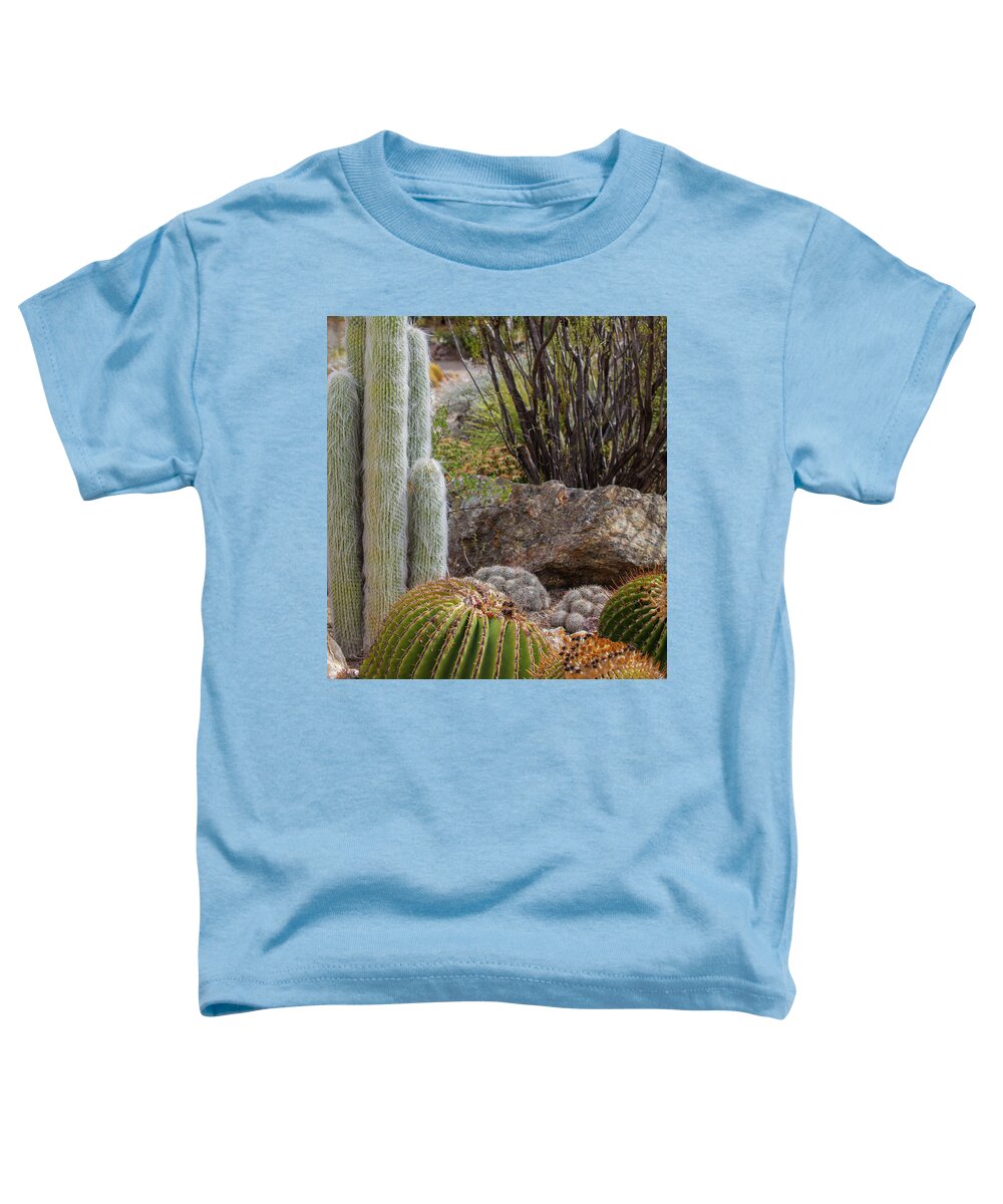 Cacti III Closeup - Toddler T-Shirt