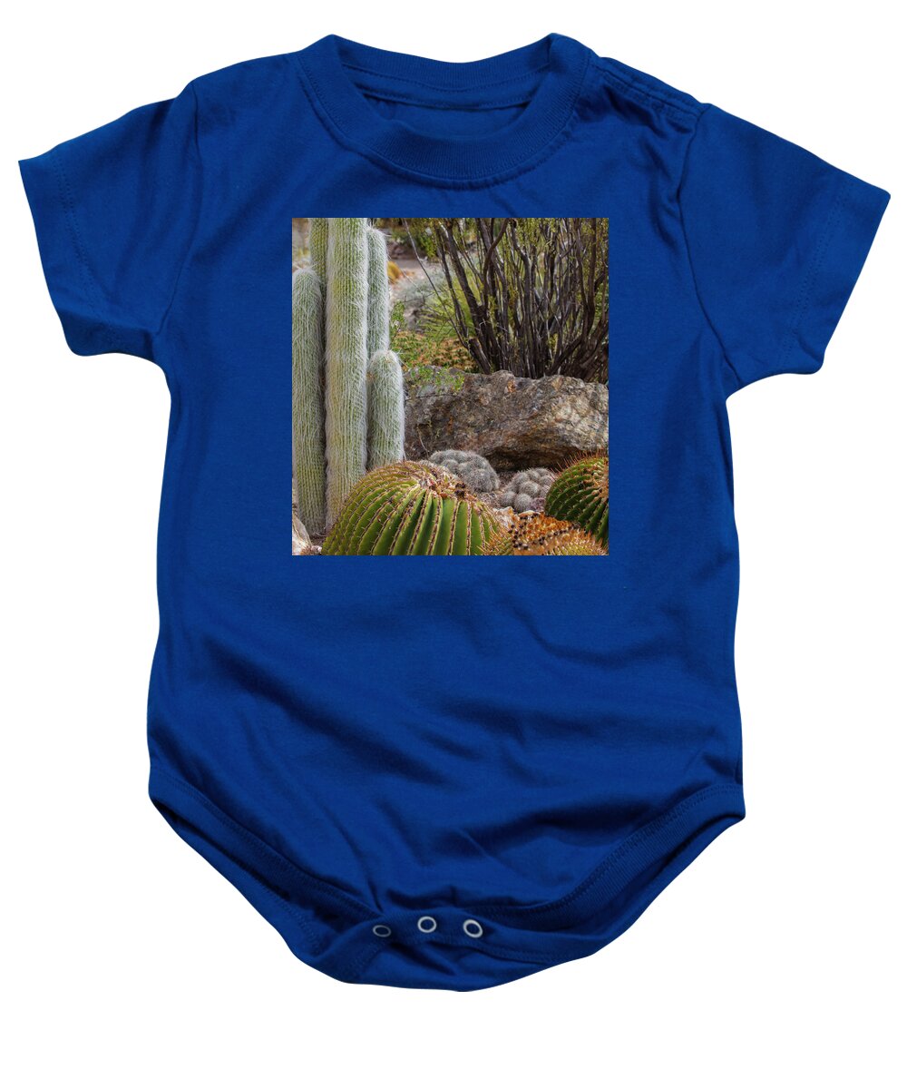 Cacti III Closeup - Baby Onesie