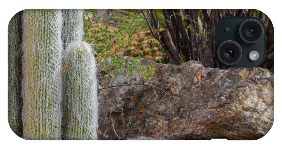 Cacti III Closeup - Phone Case