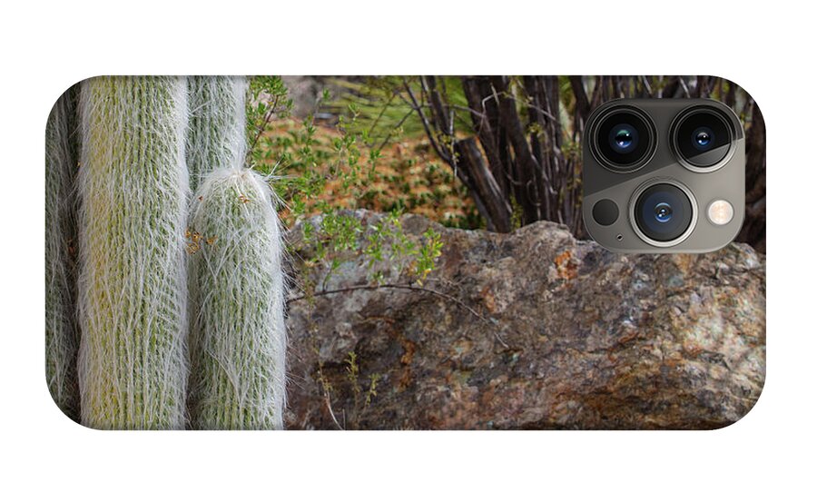 Cacti III Closeup - Phone Case