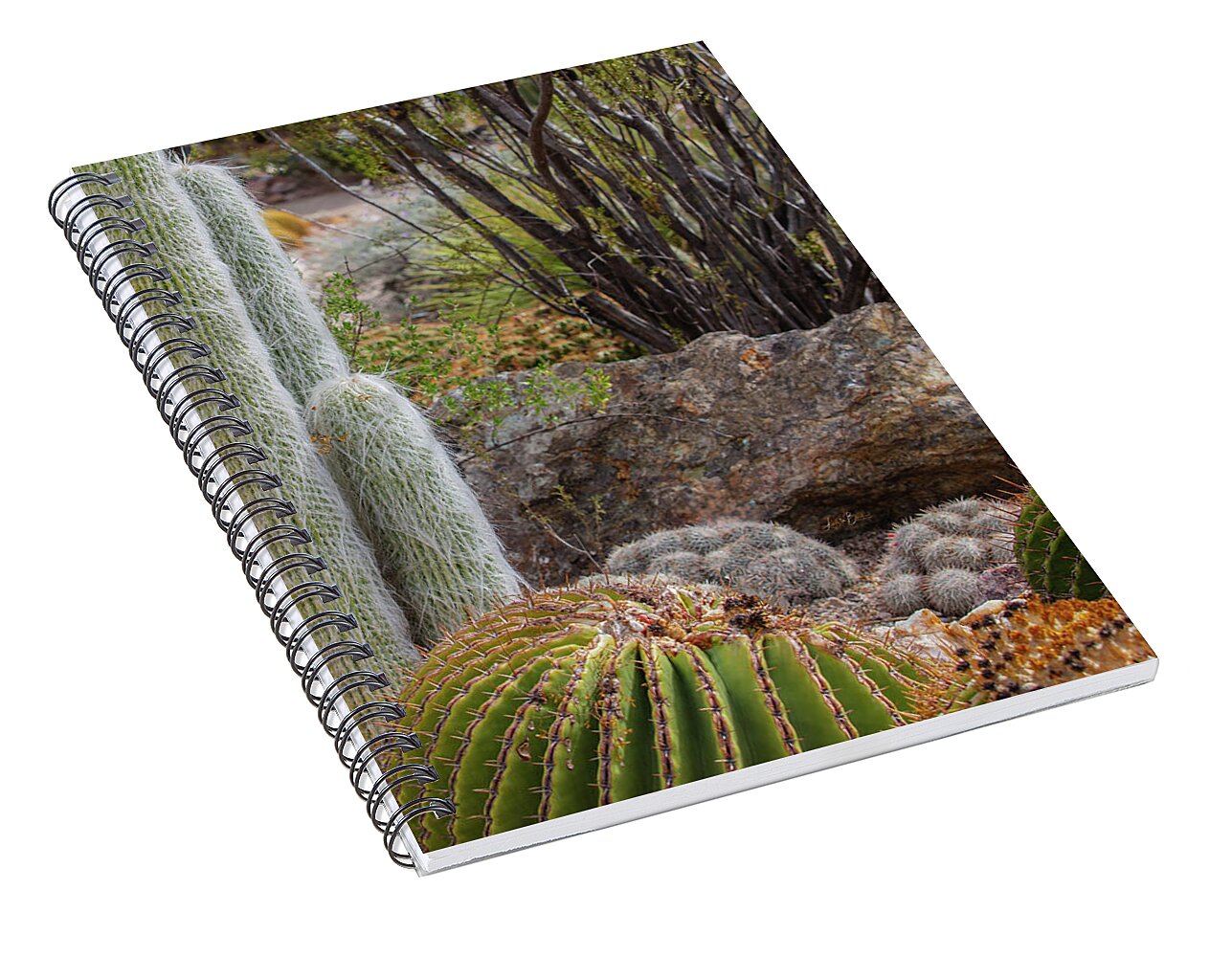 Cacti III Closeup - Spiral Notebook