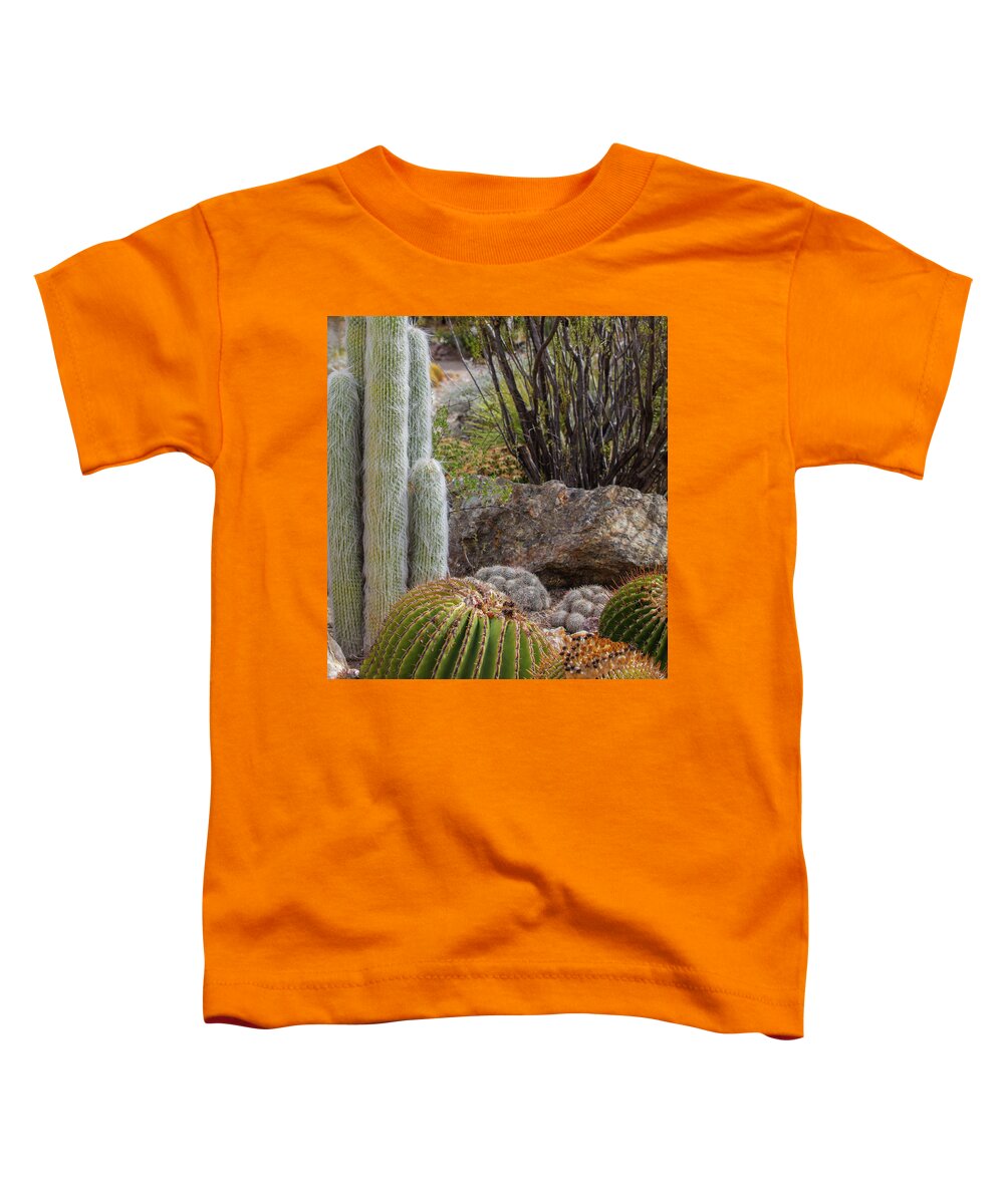 Cacti III Closeup - Toddler T-Shirt