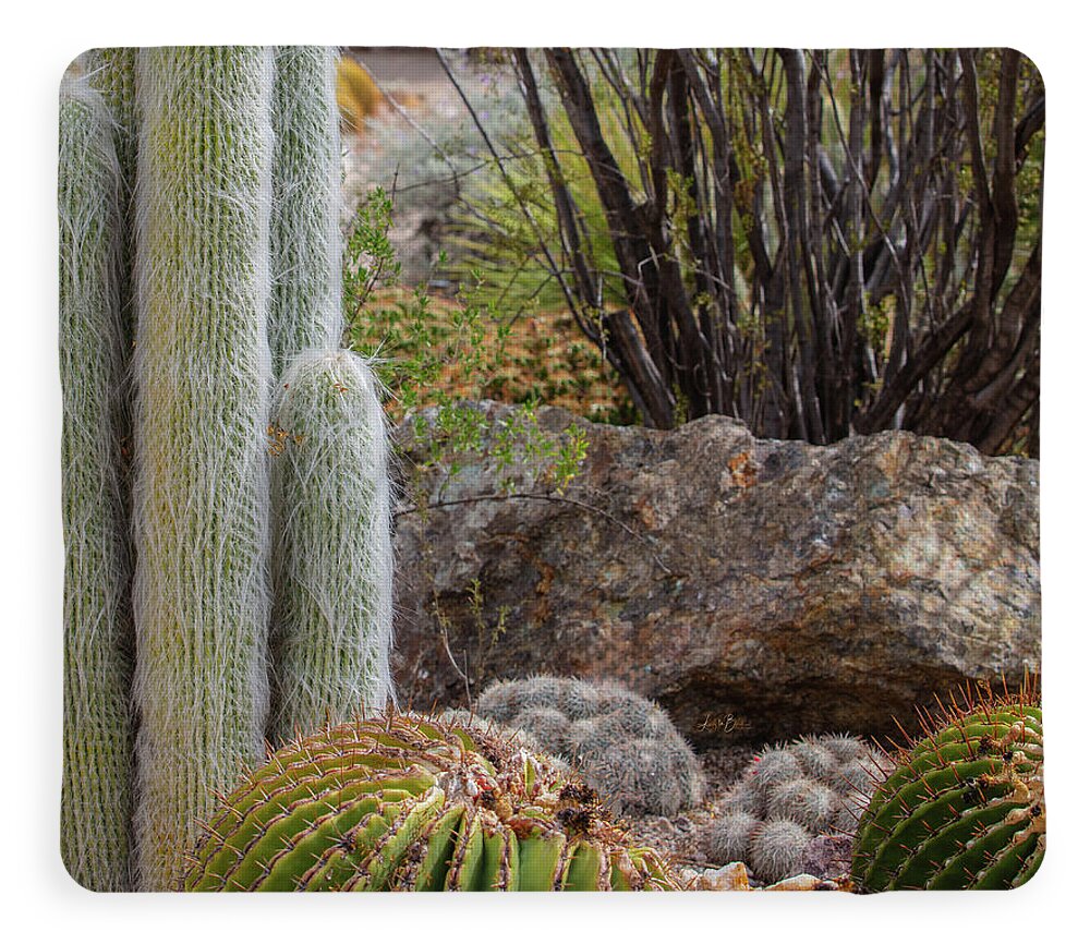 Cacti III Closeup - Blanket