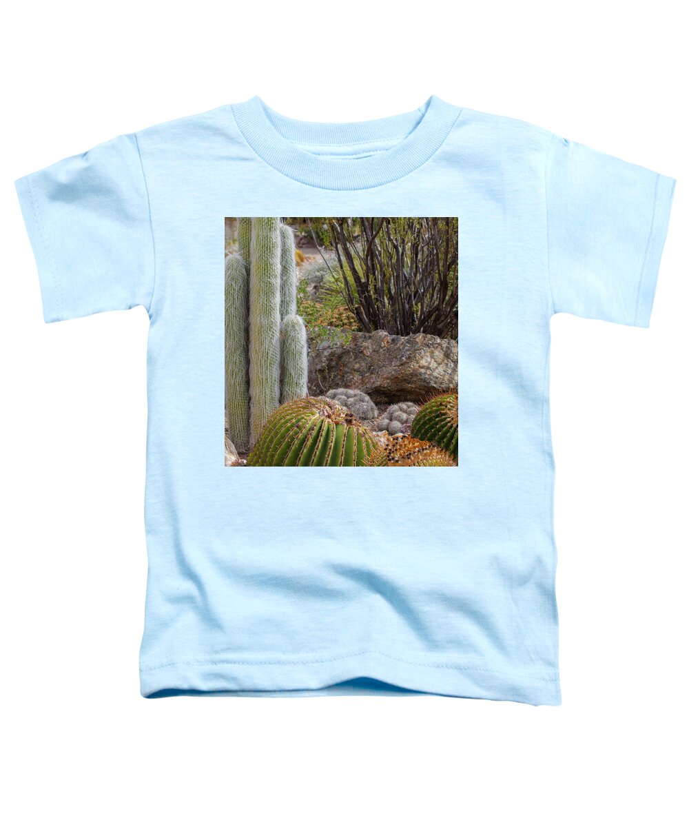 Cacti III Closeup - Toddler T-Shirt
