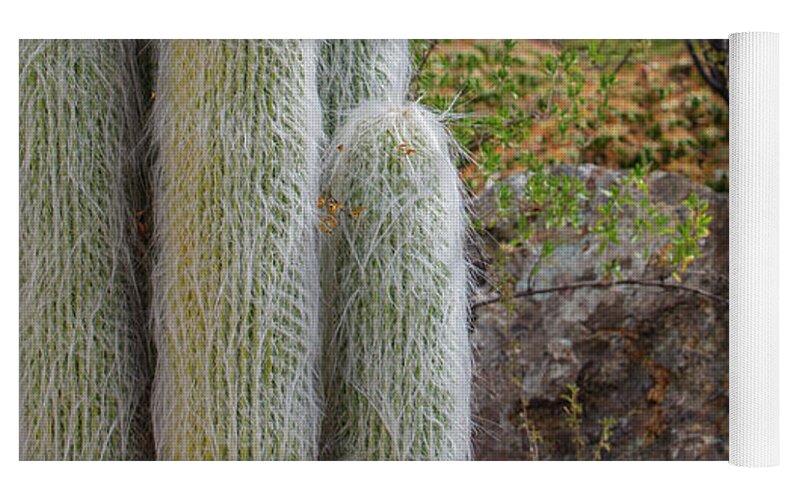 Cacti III Closeup - Yoga Mat