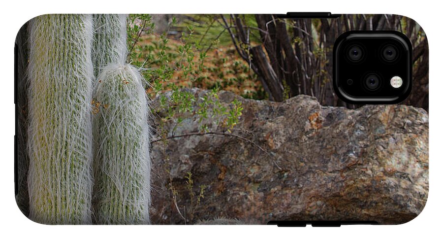 Cacti III Closeup - Phone Case