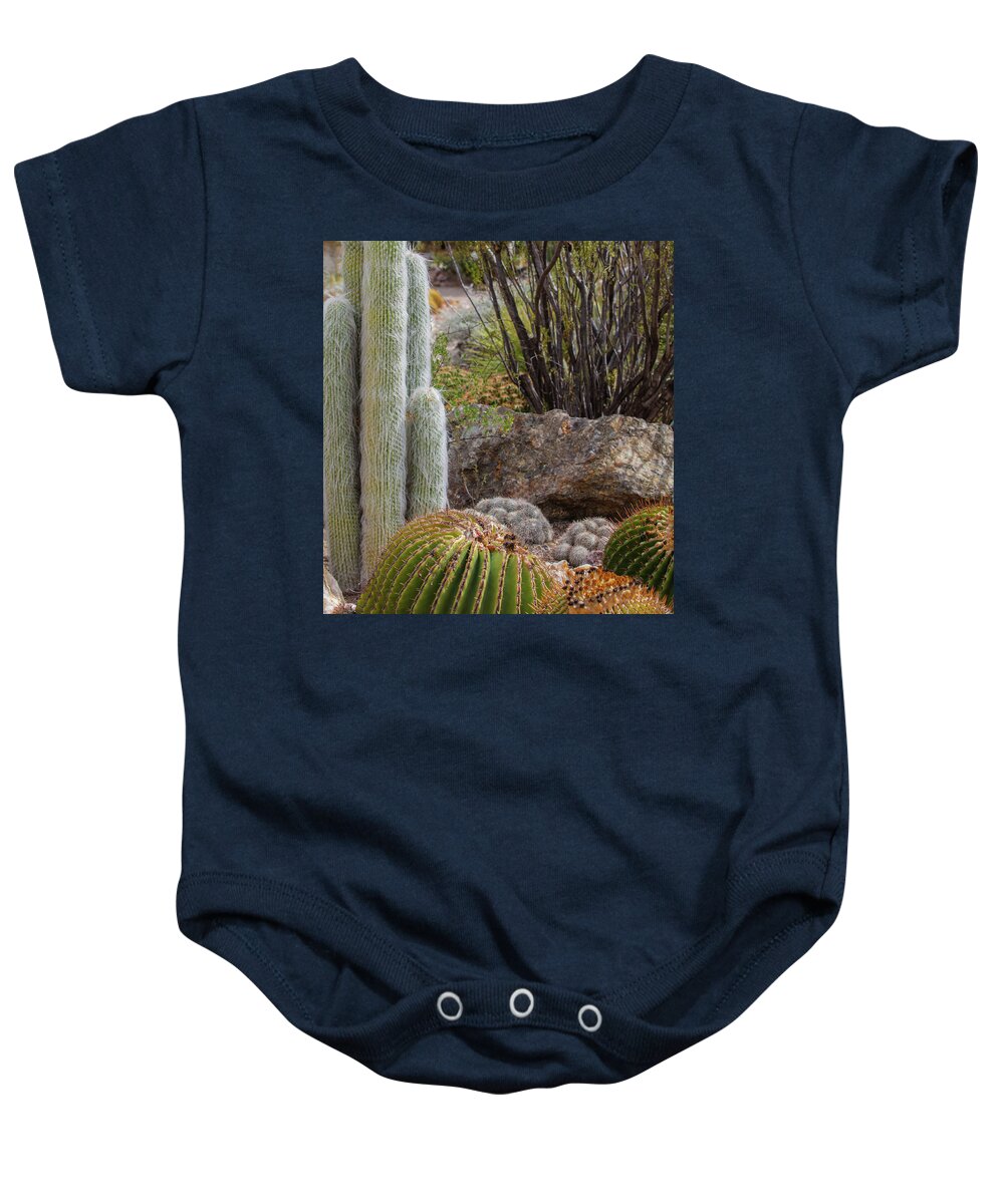 Cacti III Closeup - Baby Onesie