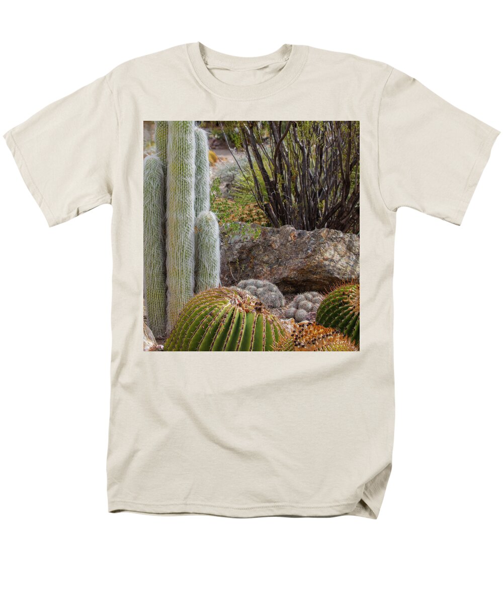 Cacti III Closeup - Men's T-Shirt  (Regular Fit)