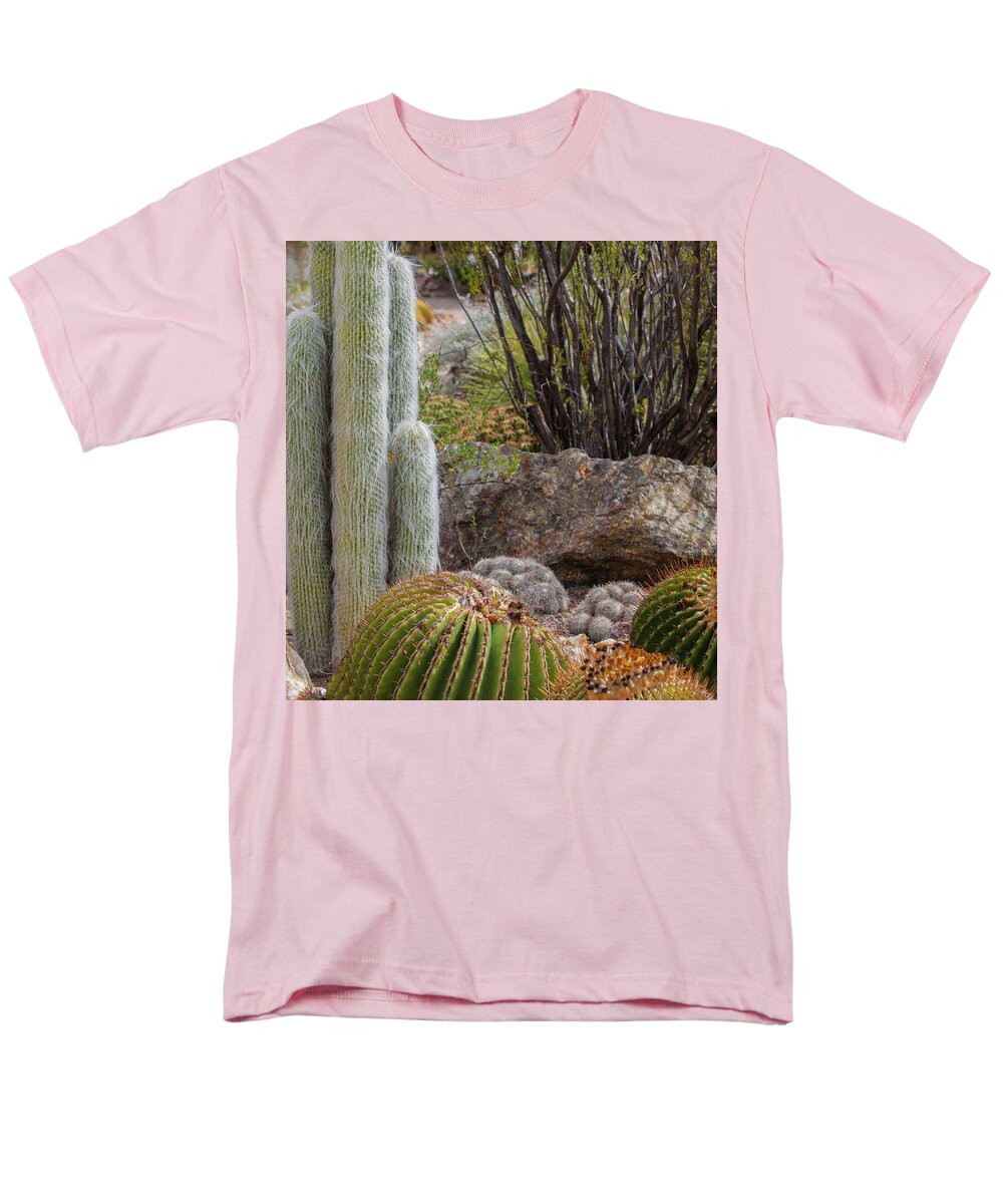Cacti III Closeup - Men's T-Shirt  (Regular Fit)