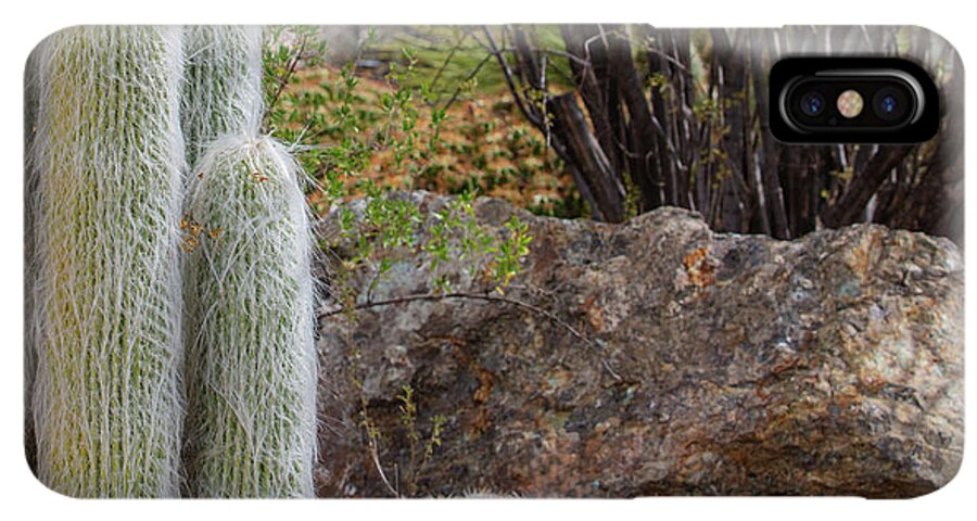 Cacti III Closeup - Phone Case