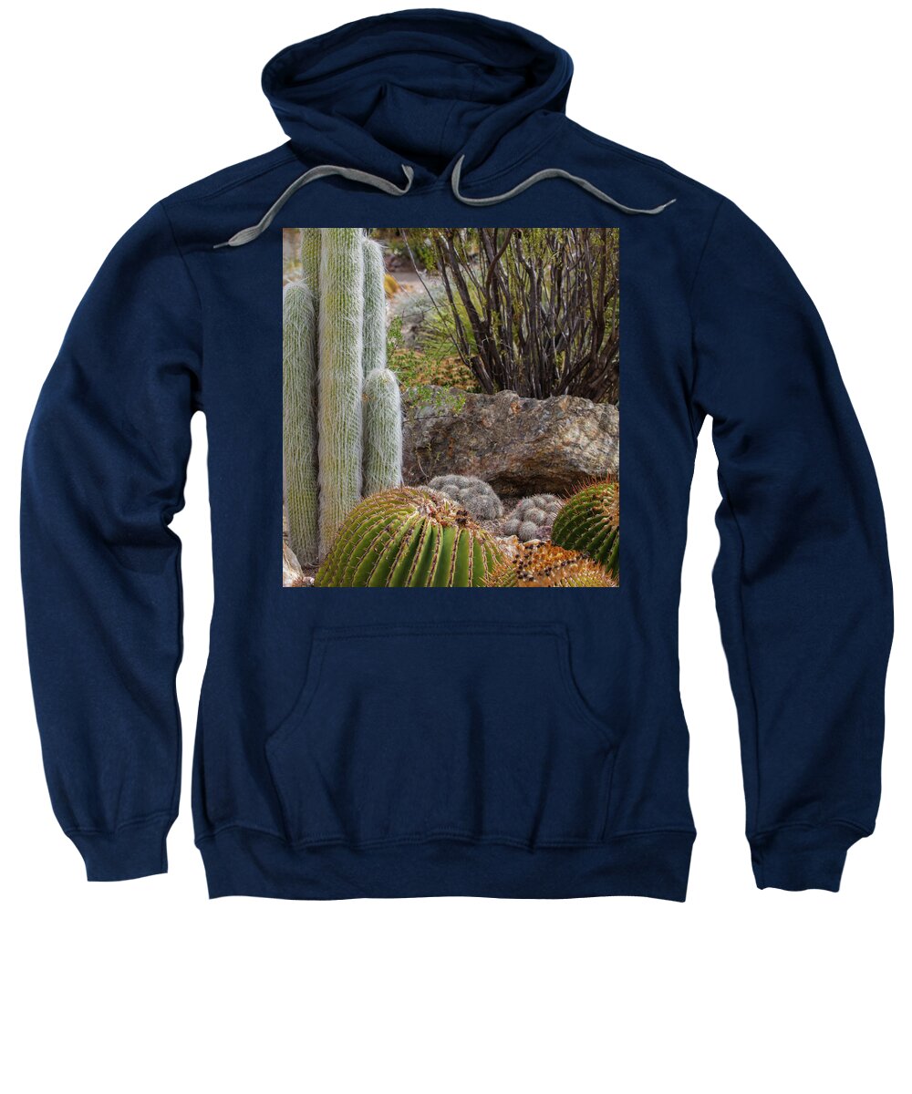 Cacti III Closeup - Sweatshirt