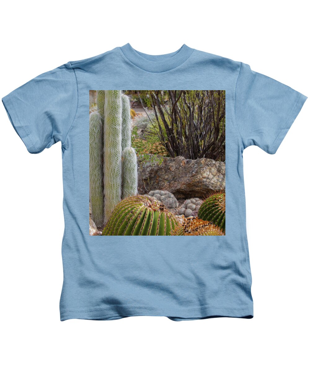 Cacti III Closeup - Kids T-Shirt