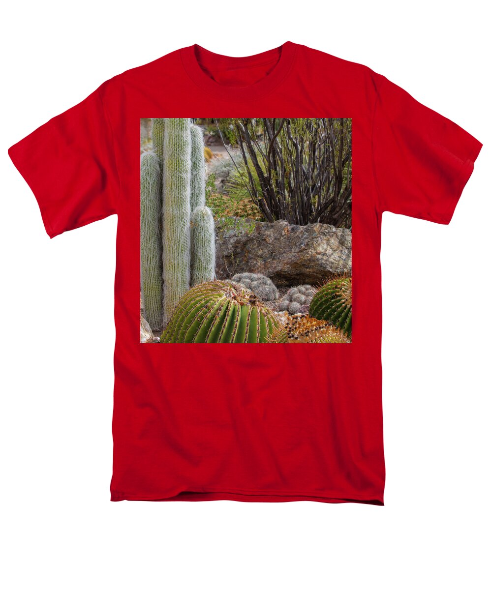 Cacti III Closeup - Men's T-Shirt  (Regular Fit)