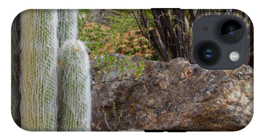 Cacti III Closeup - Phone Case