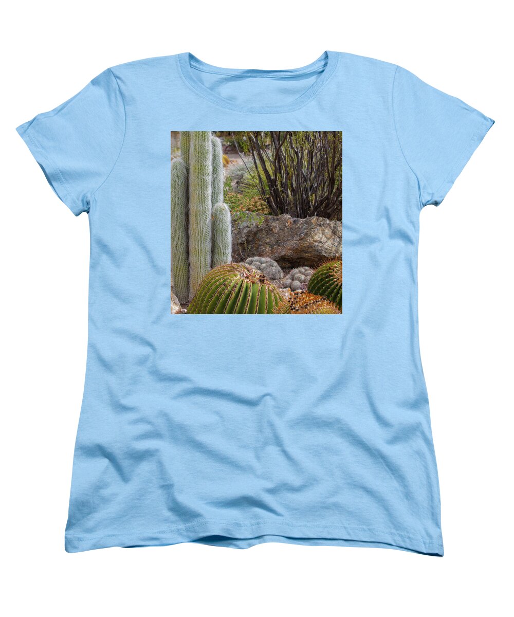 Cacti III Closeup - Women's T-Shirt (Standard Fit)