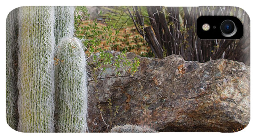 Cacti III Closeup - Phone Case