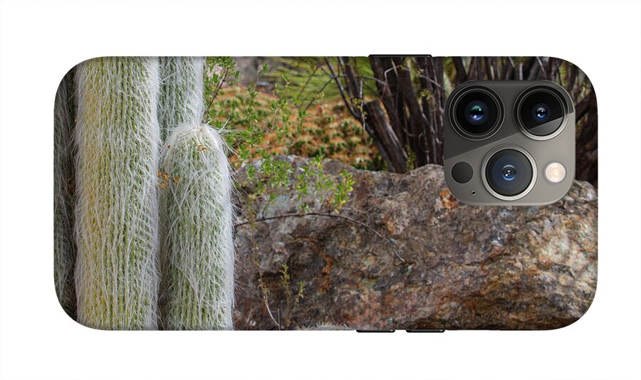 Cacti III Closeup - Phone Case