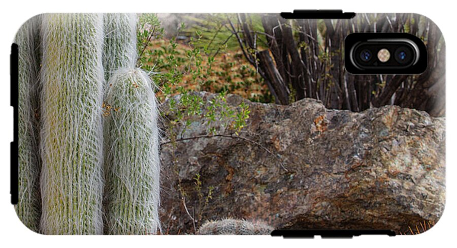 Cacti III Closeup - Phone Case