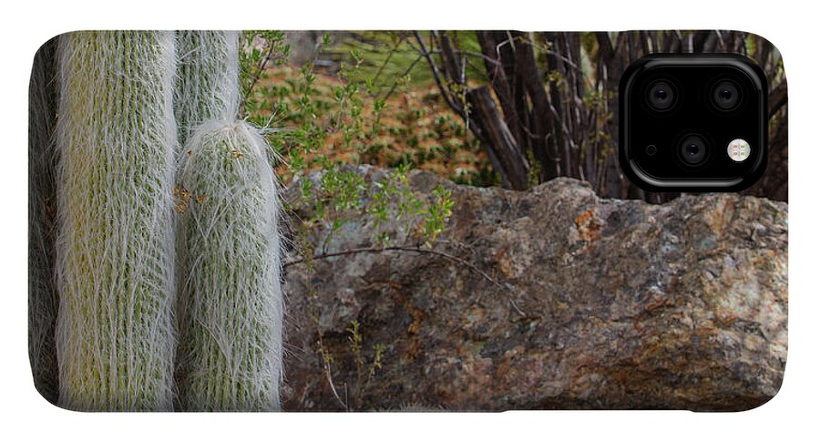 Cacti III Closeup - Phone Case