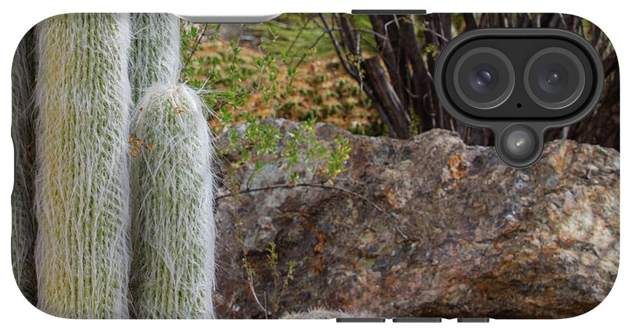 Cacti III Closeup - Phone Case