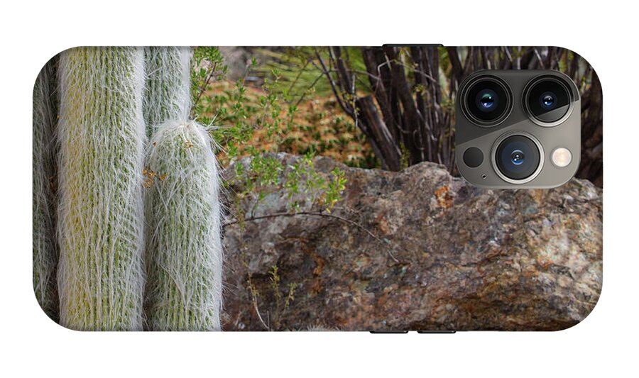 Cacti III Closeup - Phone Case